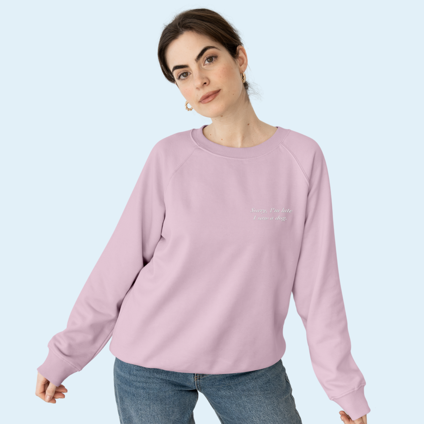 'Sorry, I'm Late I Saw A Dog' Embroidered Sweatshirt