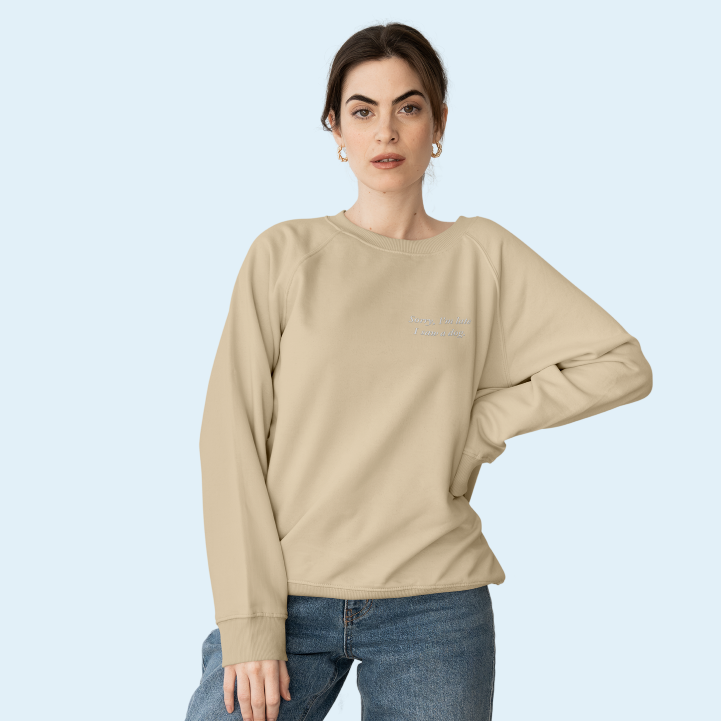 'Sorry, I'm Late I Saw A Dog' Embroidered Sweatshirt