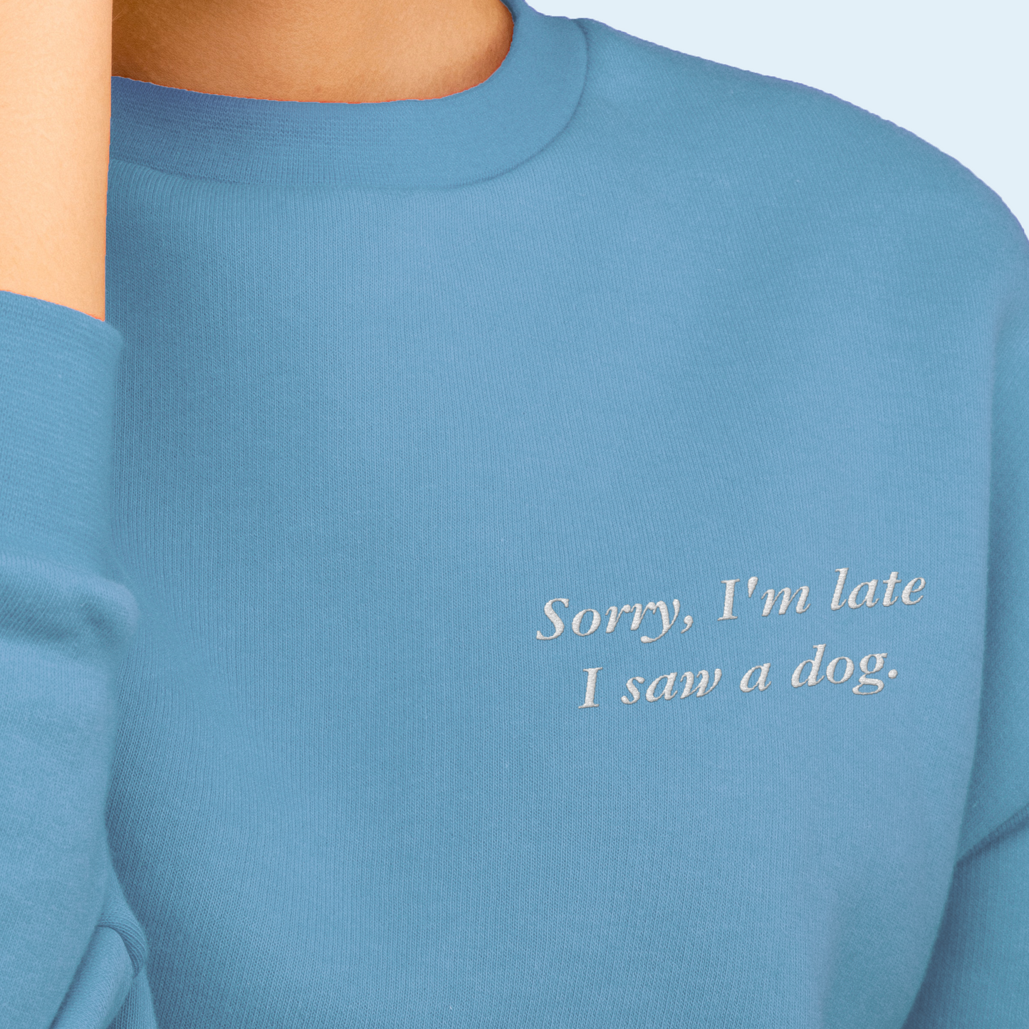 'Sorry, I'm Late I Saw A Dog' Embroidered Sweatshirt