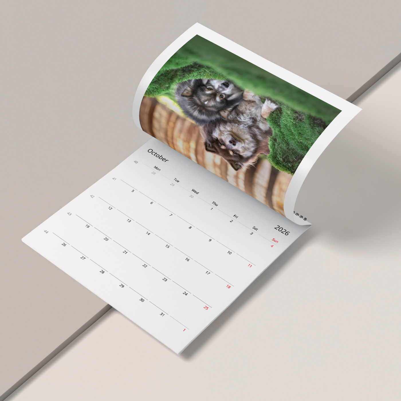 Framed pet magazine cover