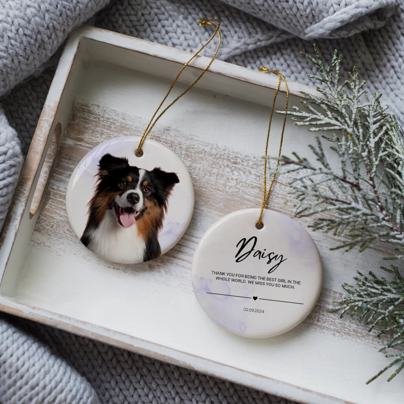 Framed pet magazine cover