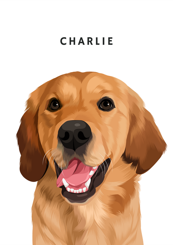 Custom pet portrait