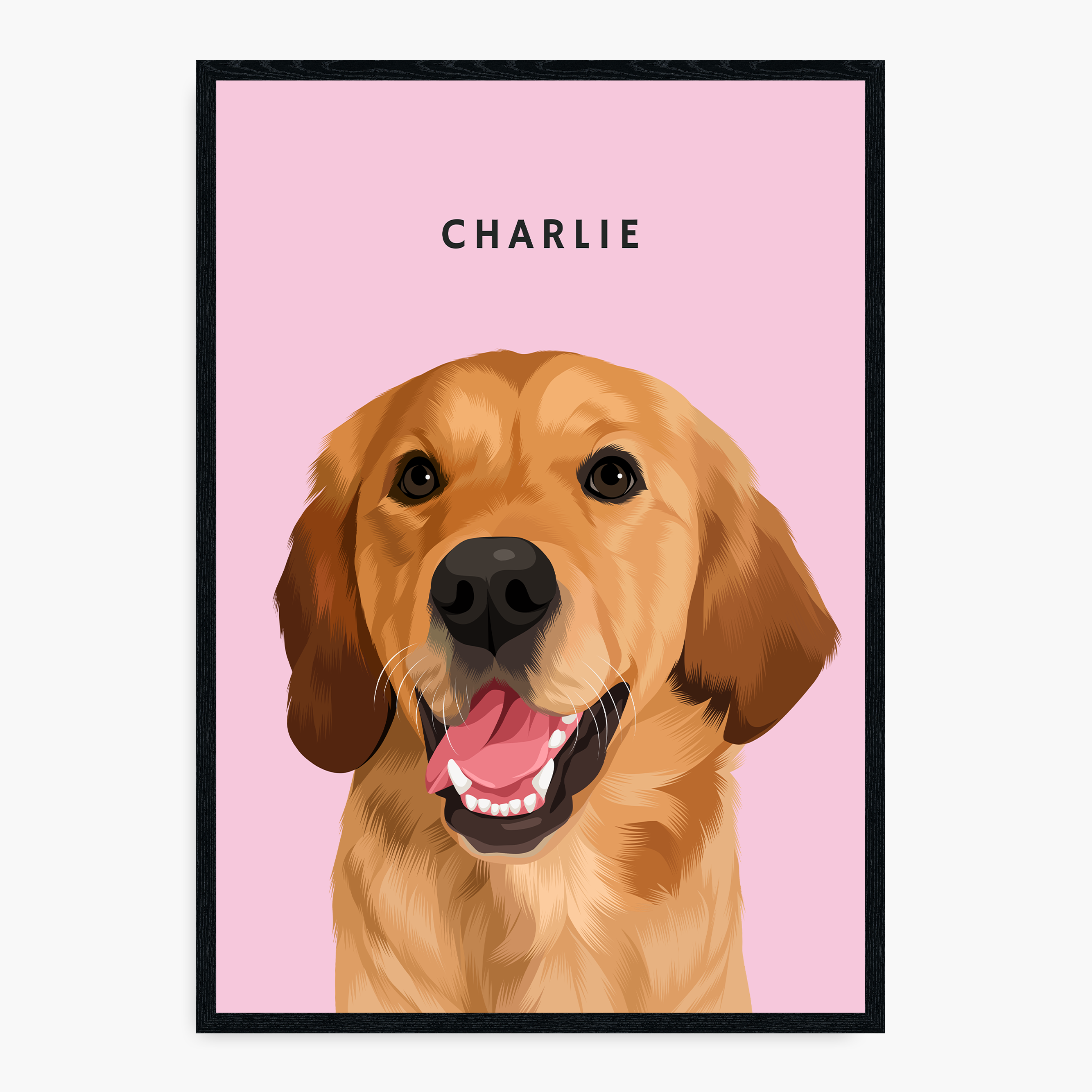 Modern Hand-Drawn Pet Portrait
