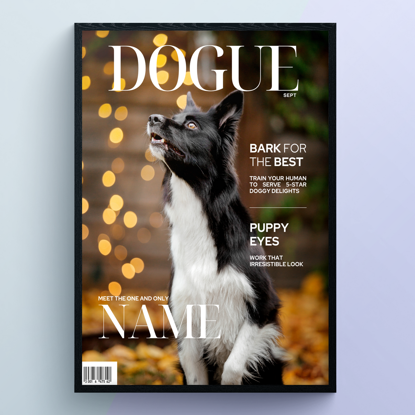 Pet Portrait Magazine Cover