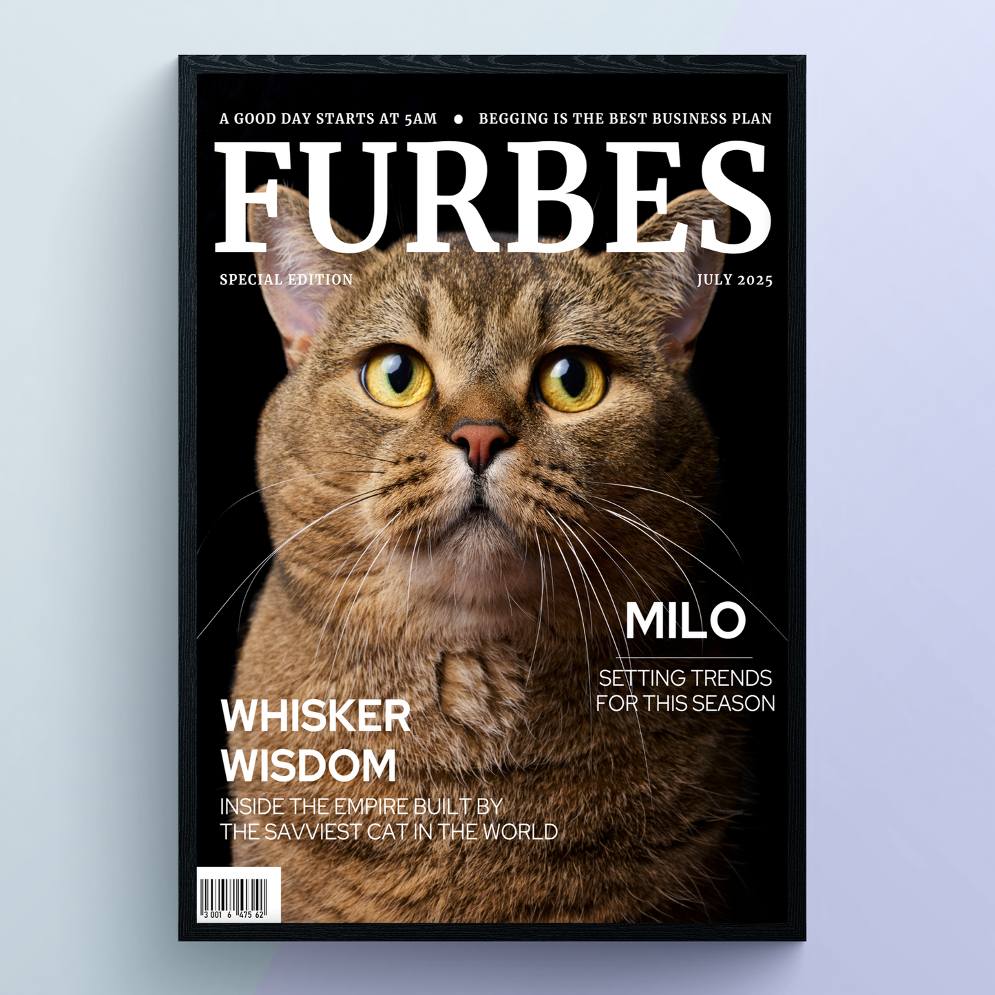 Pet Portrait Magazine Cover