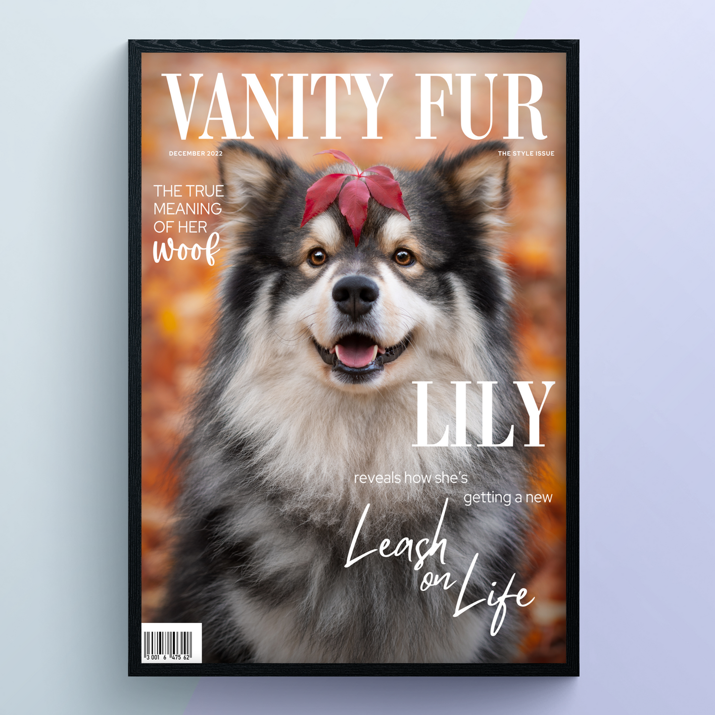 Pet Portrait Magazine Cover